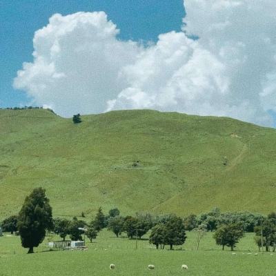 爱游戏ayx体育登录app下载