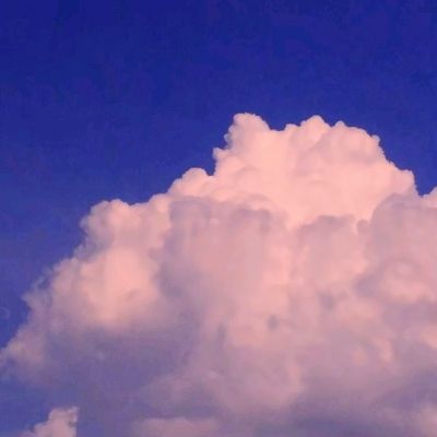 天博tb·体育综合手机app下载