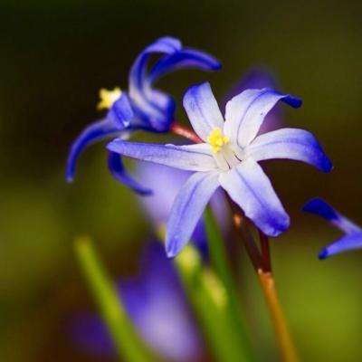 爱游戏ayx体育登录app下载