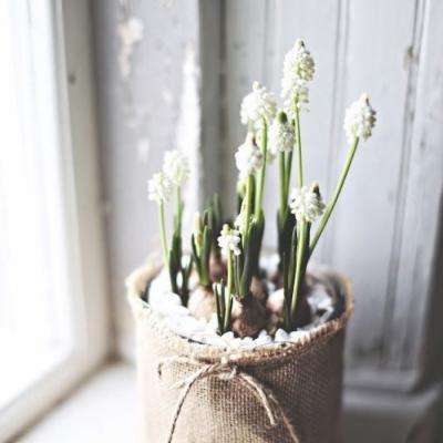 半岛·综合中国官方网站