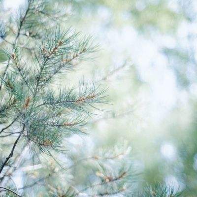 华体育下载手机版