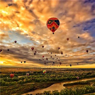 小罗代言米乐体育appapp下载