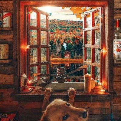 棋盘游戏赚钱截图