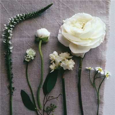 28圈游戏官网平台