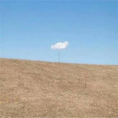 leyu·乐鱼中国体育官方网站