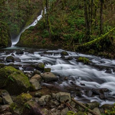 香港最准资料免费公开app下载