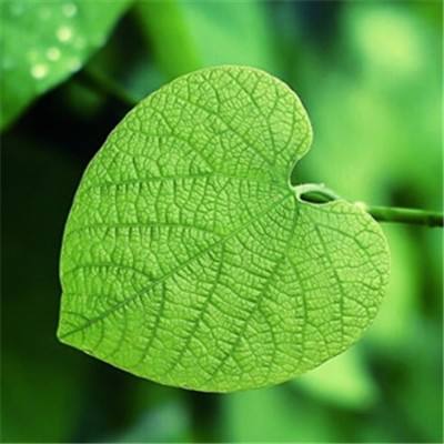 购彩中心手机app下载